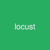 locust