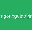 ngonngulaptrinhjava