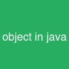 object in java