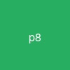 .p8