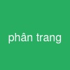 phân trang