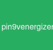 pin9venergizer