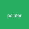 pointer