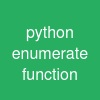 python enumerate function