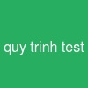 quy trình test