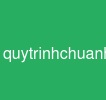 quytrinhchuanhoadulieu