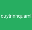 quytrinhquarnlyduan