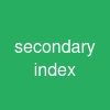 secondary index