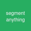 segment anything