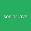 senior java