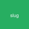 slug