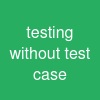 testing without test case