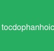 tocdophanhoichatbotai
