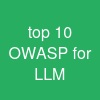 top 10 OWASP for LLM