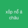 xốp nổ á châu