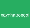 xaynhatrongoi