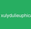 xulydulieuphicautruc