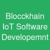 Blocckhain IoT Software Developemnt