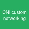 CNI custom networking