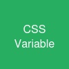 CSS Variable