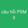 câu hỏi PSM II