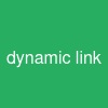 dynamic link