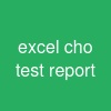 excel cho test report