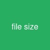 file size