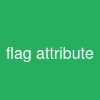 flag attribute