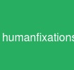 human-fixations