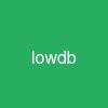 lowdb