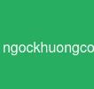ngockhuong.com
