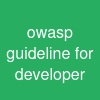 owasp guideline for developer