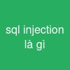 sql injection là gì