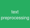 text preprocessing