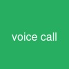 voice call
