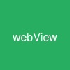 webView