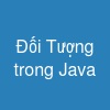 Đối Tượng trong Java