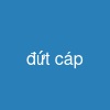 đứt cáp