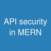 API security in MERN