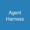 Agent Harness