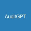 AuditGPT