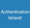 Authentication laravel