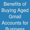 Benefits of Buying Aged Gmail Accounts for Business Growth