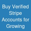 Buy Verified Stripe Accounts for Growing