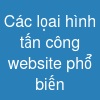 Các lọai hình tấn công website phổ biến