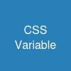 CSS Variable