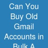Can You Buy Old Gmail Accounts in Bulk? A Seller’s Perspective