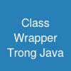 Class Wrapper Trong Java