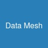 Data Mesh